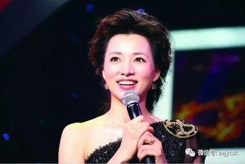 爆料董卿的火哥视频大全,揭秘幕后故事与精彩瞬间  第2张